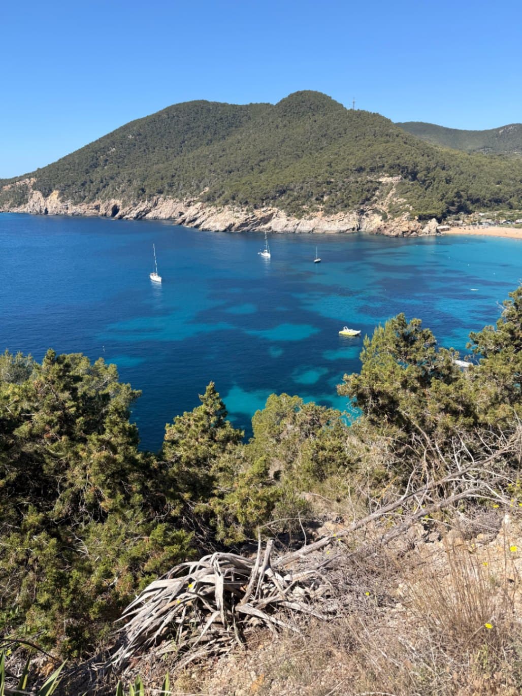 Best Beaches in Ibiza (2026): All 80, Sorted by Vibe + Map