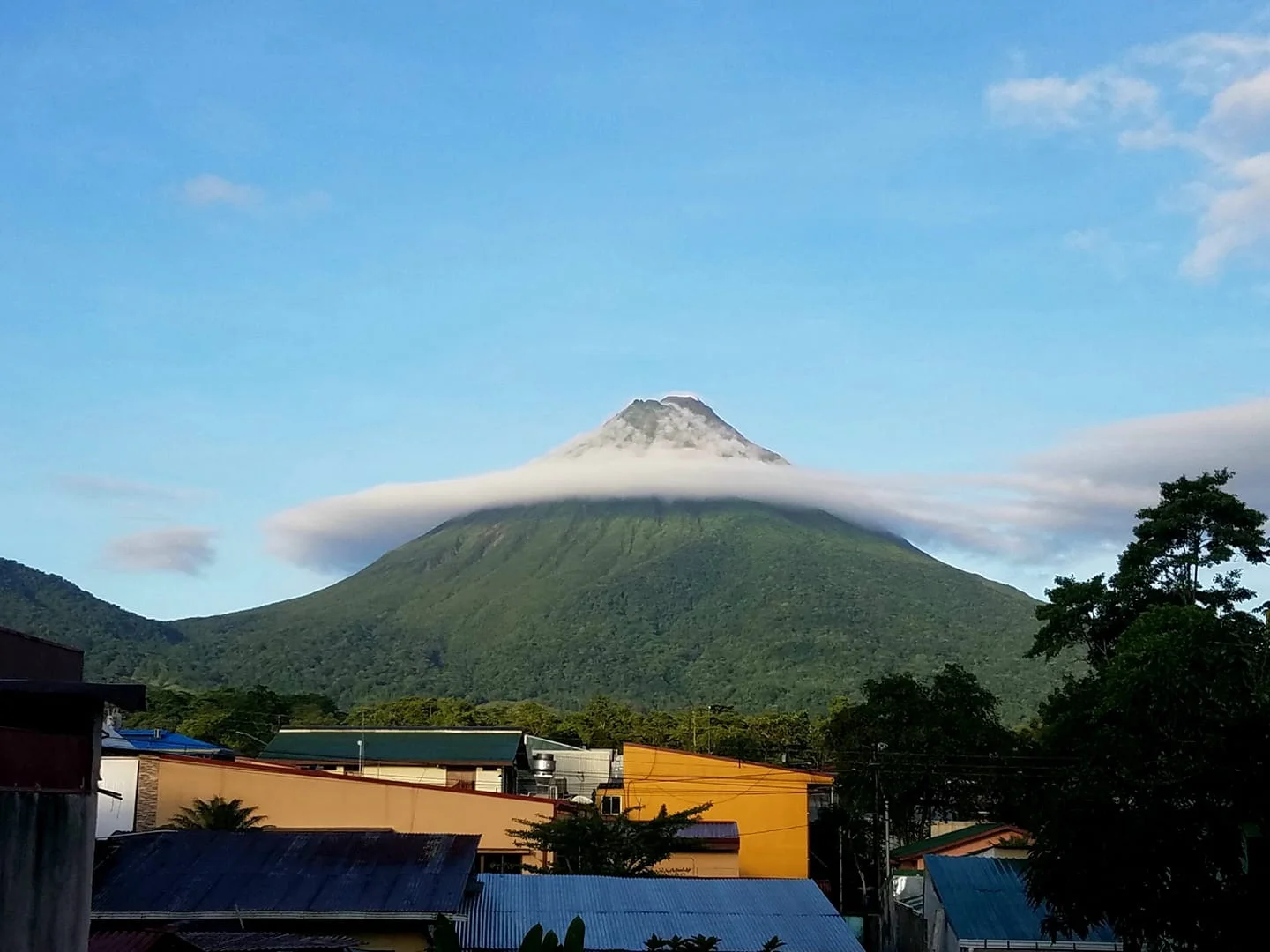 I Quit My Job, Packed Two Suitcases and Two Pomeranians, and Moved to Costa Rica