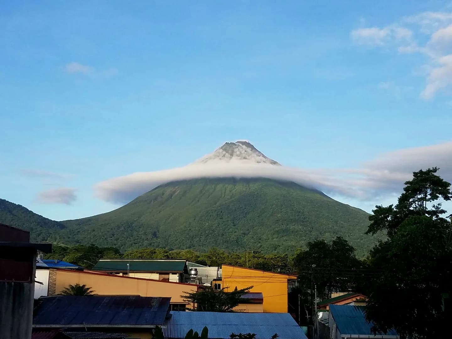 I Quit My Job, Packed Two Suitcases and Two Pomeranians, and Moved to Costa Rica