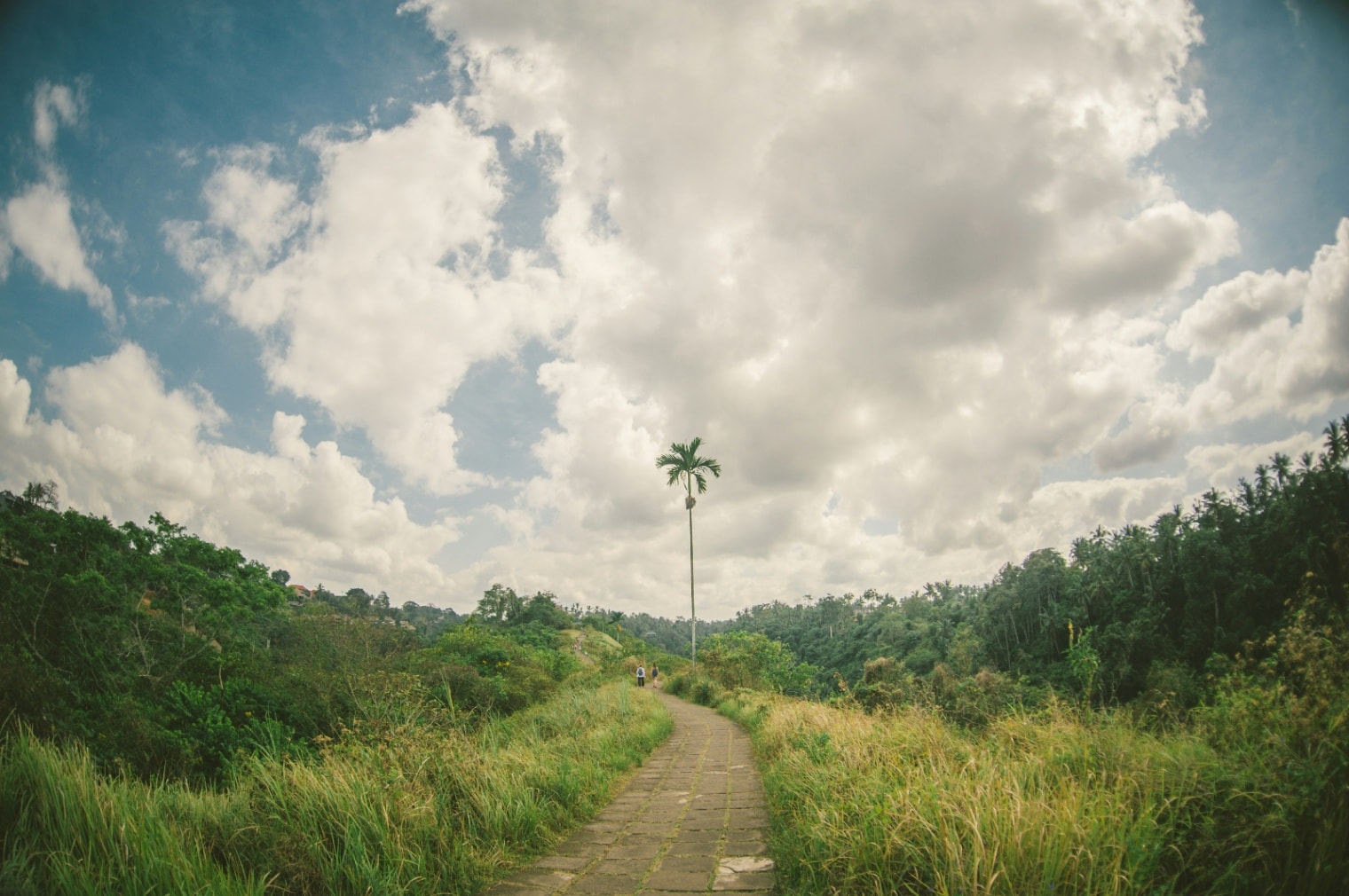 Solo in Ubud. Do the ridge walk early.