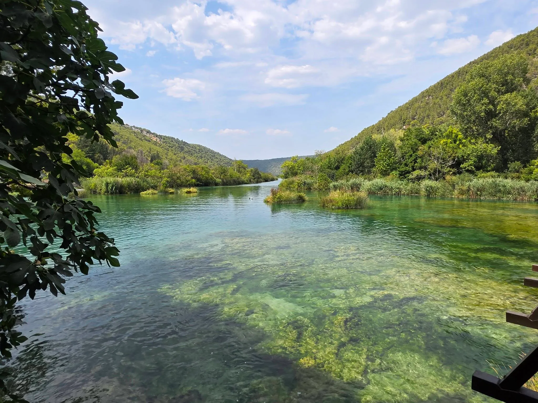 Podgora, Croatia: A Family Holiday on the Dalmatian Coast